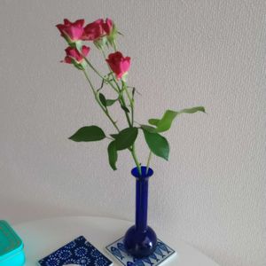 切り花,一輪挿し,花瓶,花束,花のある暮らしの画像