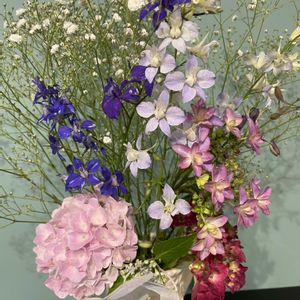 千鳥草,花束,紫陽花 アジサイ あじさい,かすみ草。の画像