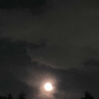 ビックリグミ,いちご,お月さま,ストロベリームーン,満月♪の画像