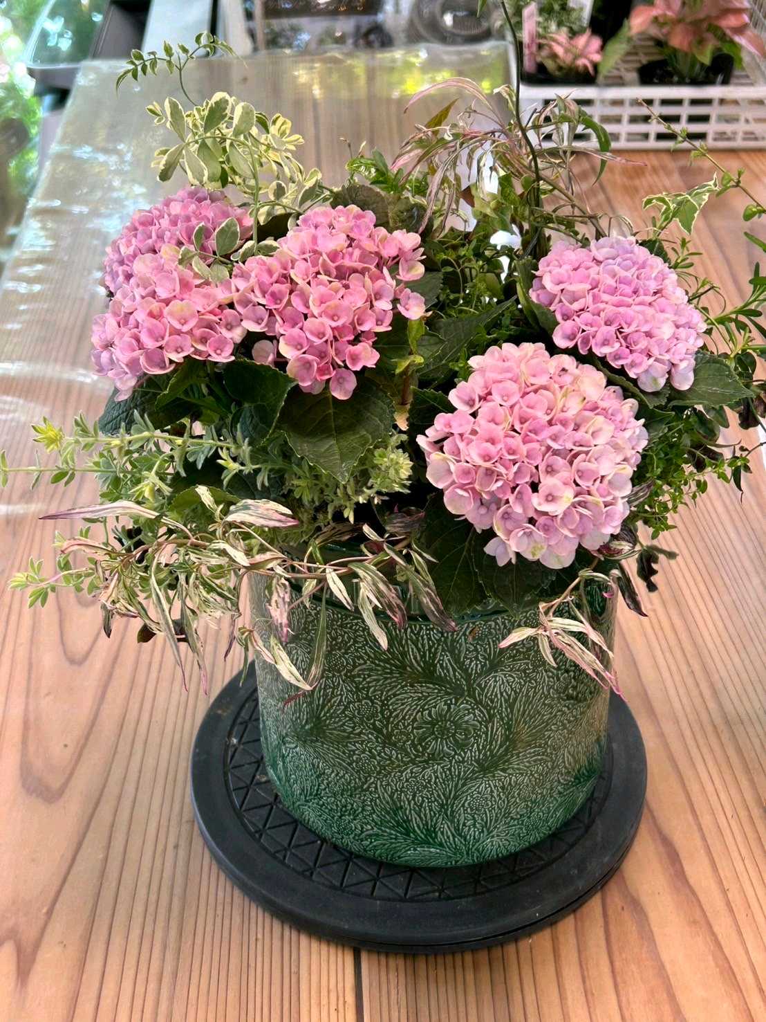 NO99 紫陽花マジカルレボリューションを入れてギャザリング再利用