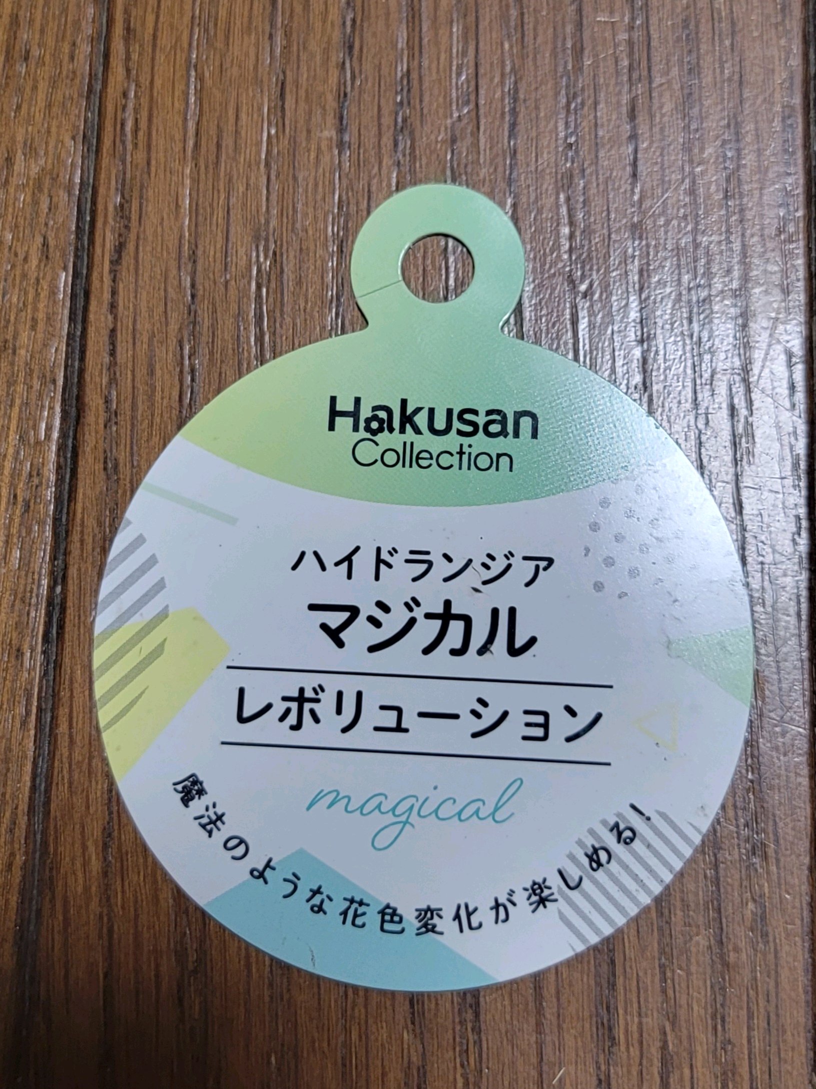 ハンドメイド　オーダー受付ページ　　♡紫陽花にゃんこ　パネル♡ NO99 紫陽花マジカルレボリューションを入れてギャザリング再利用