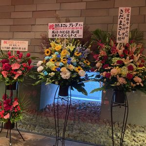 花のある暮らし,お祝い花,ねこと緑のある暮らしの画像