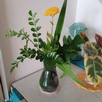 観葉植物,切り花,一輪挿し,花瓶,花束の画像