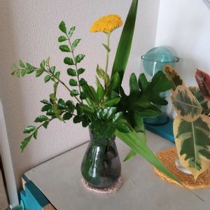 観葉植物,切り花,一輪挿し,花瓶,花束の画像