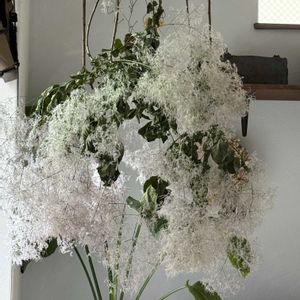 アジサイ,スモークツリー,ヒペリカム,紫陽花,ドライフラワーの画像