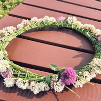 シロツメクサ,公園,ピンクのお花,白いお花,お花の冠の画像