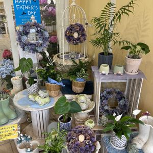 観葉植物,ギフト,園芸店,父の日,花のある暮らしの画像
