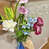カーネーション,ブルースター,花瓶,お花の定期便の画像