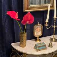 アンスリウム（紅団扇）,花言葉,花のある暮らし,誕生花,GS映えの画像