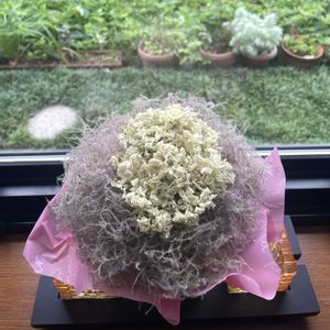 スモーク・ツリー,ドライフラワー,ハンドメイド,ブーケ,紫陽花 アジサイ あじさいの画像