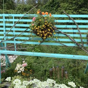 DIY,ガーデニング,手作り,庭の花,庭の画像
