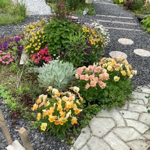 DIY,ガーデニング,手作り,庭の花,庭作りの画像