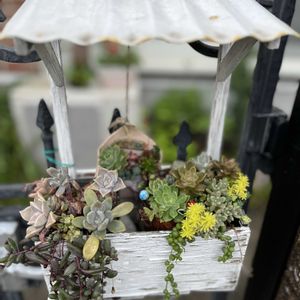 寄せ植え,花のある暮らし,玄関アプローチの画像