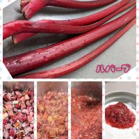 ルバーブ,キッチンの画像