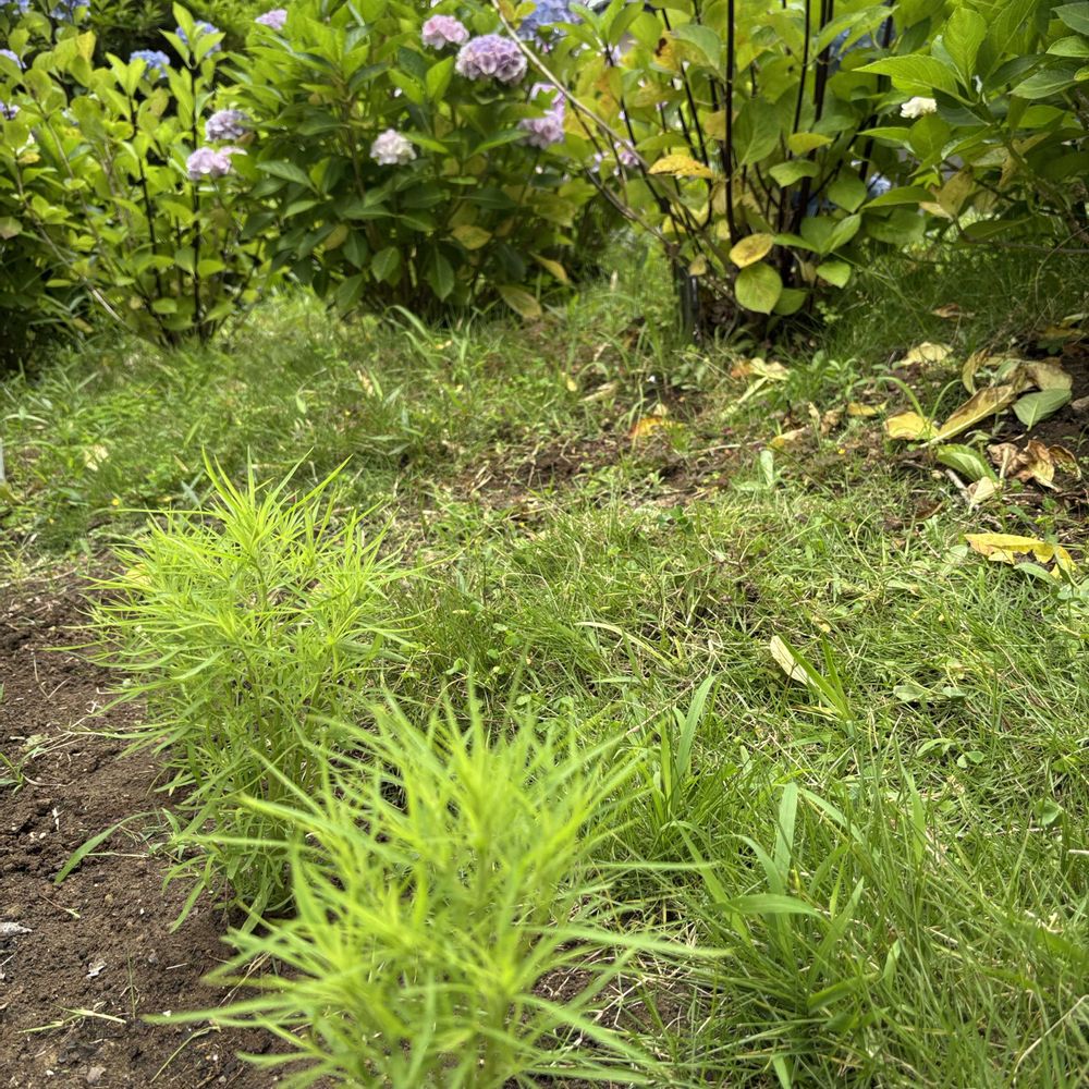 スイジンさんの戸塚区への投稿