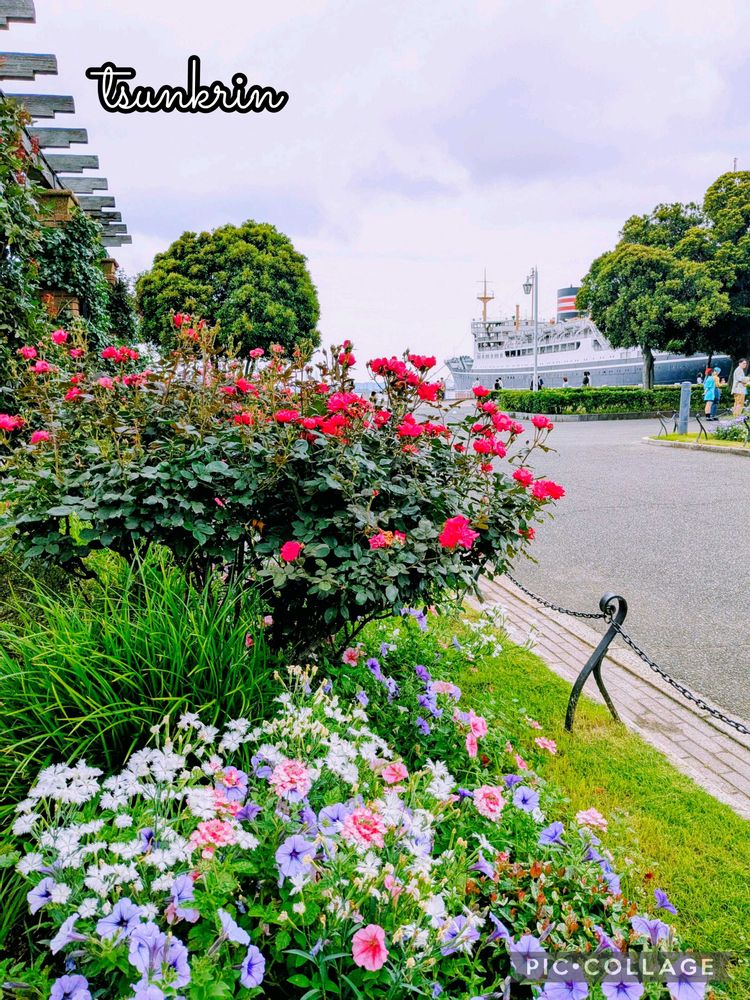つんくりんさんの山下公園への投稿