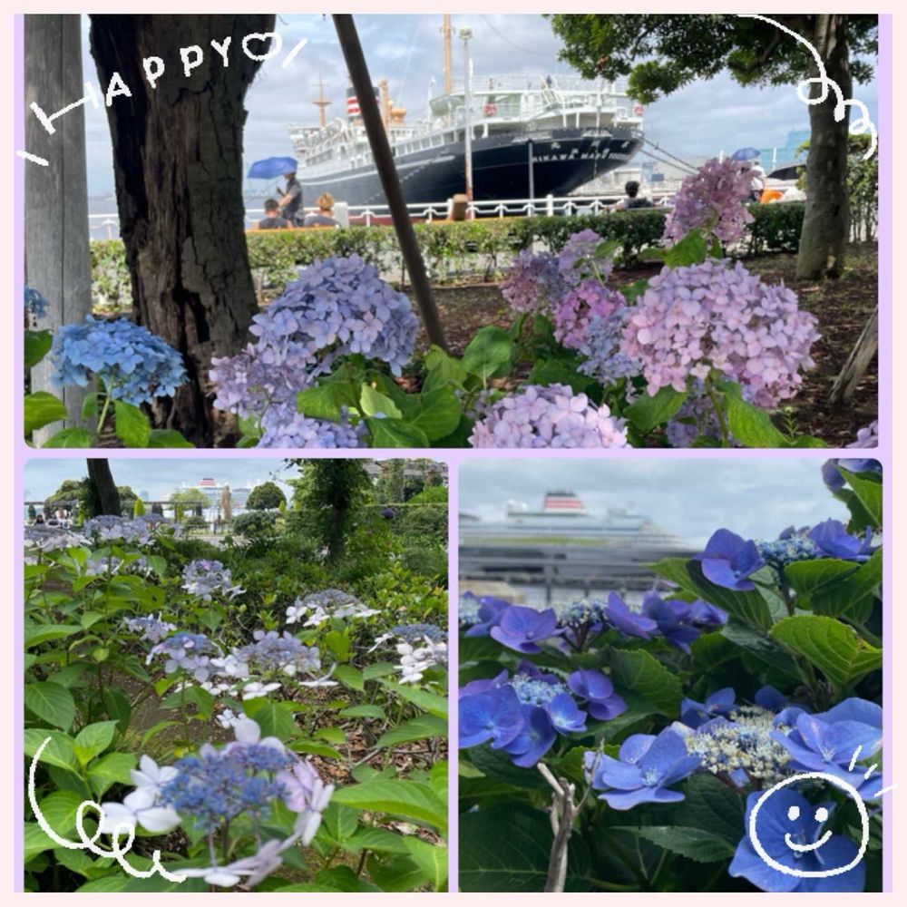 みちょ830さんの山下公園への投稿