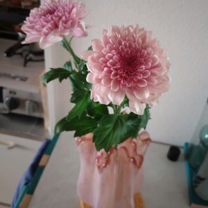 切り花,一輪挿し,可愛い,花瓶,花束の画像