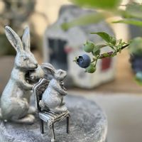 ブルーベリー,no green no life,植物のある暮らし,鉢植えブルーベリー,ほしつながりの画像