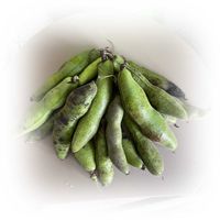 イチゴ,ミニトマト,大玉トマト,サヤインゲン,ソラマメの画像