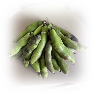 イチゴ,ミニトマト,大玉トマト,サヤインゲン,ソラマメの画像