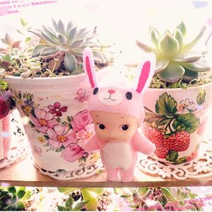 エケベリア,多肉植物いろいろ,多肉植物,エケベリア属,多肉大好きの画像