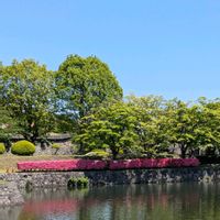 ツツジ,花菖蒲,鯉喉櫓台といもり堀,水辺の水曜日,雲仲間の画像