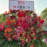 アジサイ,アルストロメリア,アンスリウム,カーネーション,スターチスの画像