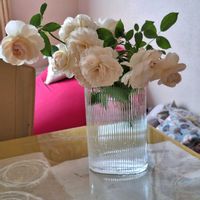 イングリッシュローズ,バラ リッチフィールドエンジェル ,ドライフラワー,スワッグ,花のある暮らしの画像