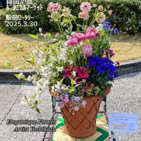 寄せ植え,可愛い,アンティーク,癒し,鉢花の画像