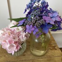 切り花,花のある暮らし,切り花を楽しむ,リビング・ダイニングの画像