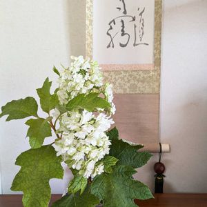 柏葉アジサイ,アレンジ,花のある暮らし,季節を楽しむ,シンプルが好きの画像