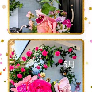 玄関アプローチの画像