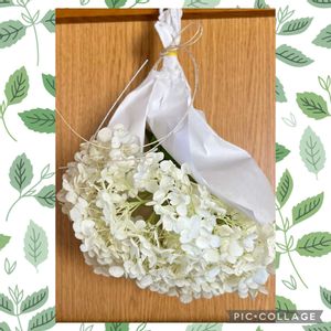 紫陽花のおまじない,白い紫陽花 アナベル,スマホ撮,玄関の画像