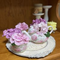 アジサイ,バラ,紫陽花,アナベル,紫陽花 アジサイ あじさいの画像