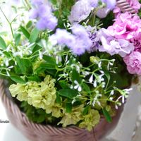 ペチュニア,寄せ植え,ベランダガーデン,ガーデニング,ガーデンの画像