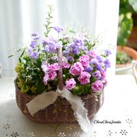 アゲラタム,ペチュニア,寄せ植え,ベランダガーデン,ガーデニングの画像