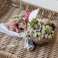 寄せ植え,多肉植物,花芽,リメ鉢,マルシェの画像