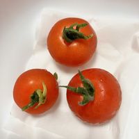 トマト, 中玉トマト,自家製野菜,夏野菜,ベランダ菜園の画像