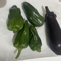 キュウリ,ナス,ミニトマト,プランター野菜,夏野菜の画像