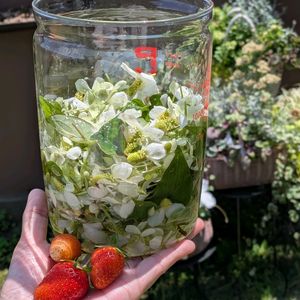 どくだみ,寄せ植え,多肉植物,ドライフラワー,多肉寄せ植えの画像
