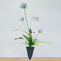 アガパンサス,アスター,オクラレルカ,ギボウシ,ナズナの画像