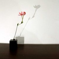 一輪挿し,花瓶,山野草,花のある暮らし,花のある生活の画像