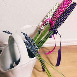 ジニア,モナルダ(ベルガモット),ラベンダースティック❣️作りました。,ハンゲショウ（半化粧）,ジ二アの画像