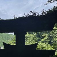 セッコク,アカソ,素敵な出会い,季節を楽しむ,胸キュンの画像