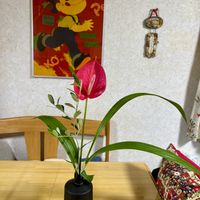 アンスリウム,オリーブ,シラン,ペコちゃん,花瓶の花の画像
