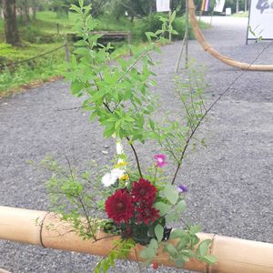 ナチュラルガーデン,お花のある生活,おでかけ先,癒されます♡,叶匠寿庵 寿長生の郷の画像