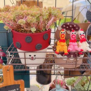 チランジア　ストリクタ,ポーチュラカ マジカルキューティー,甜茶錦,クリスペート　ビューティー,開花の画像