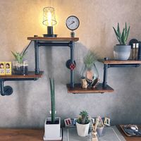 アロエ,サボテン,サンスベリア,スタッキー,アストロフィツム属の画像