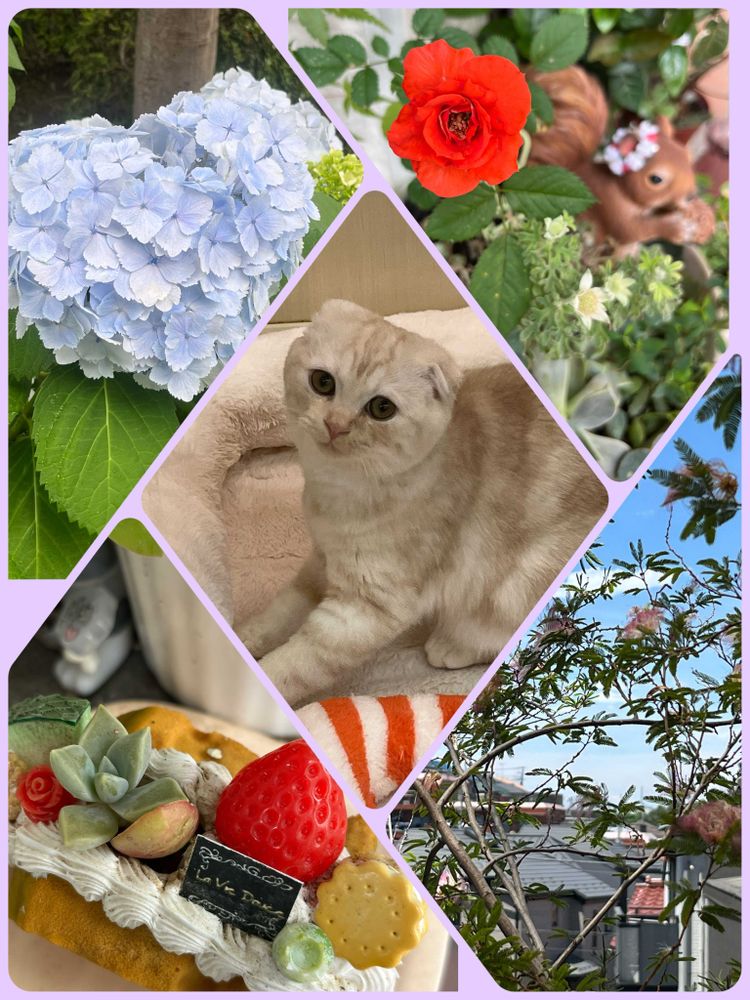 クミピさんの山手イタリア山庭園への投稿
